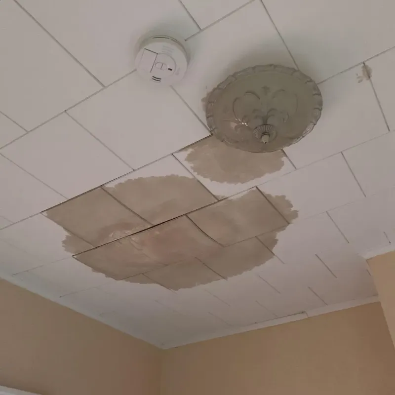 Ceiling Water Damage Repair in Belmont, MA